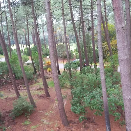 T2 Ocean Piscine Golf *