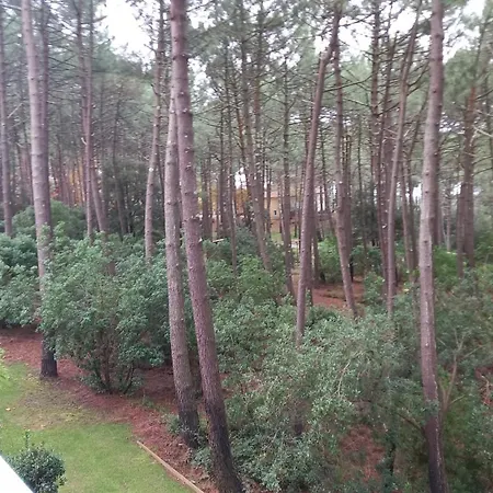 T2 Ocean Piscine Golf